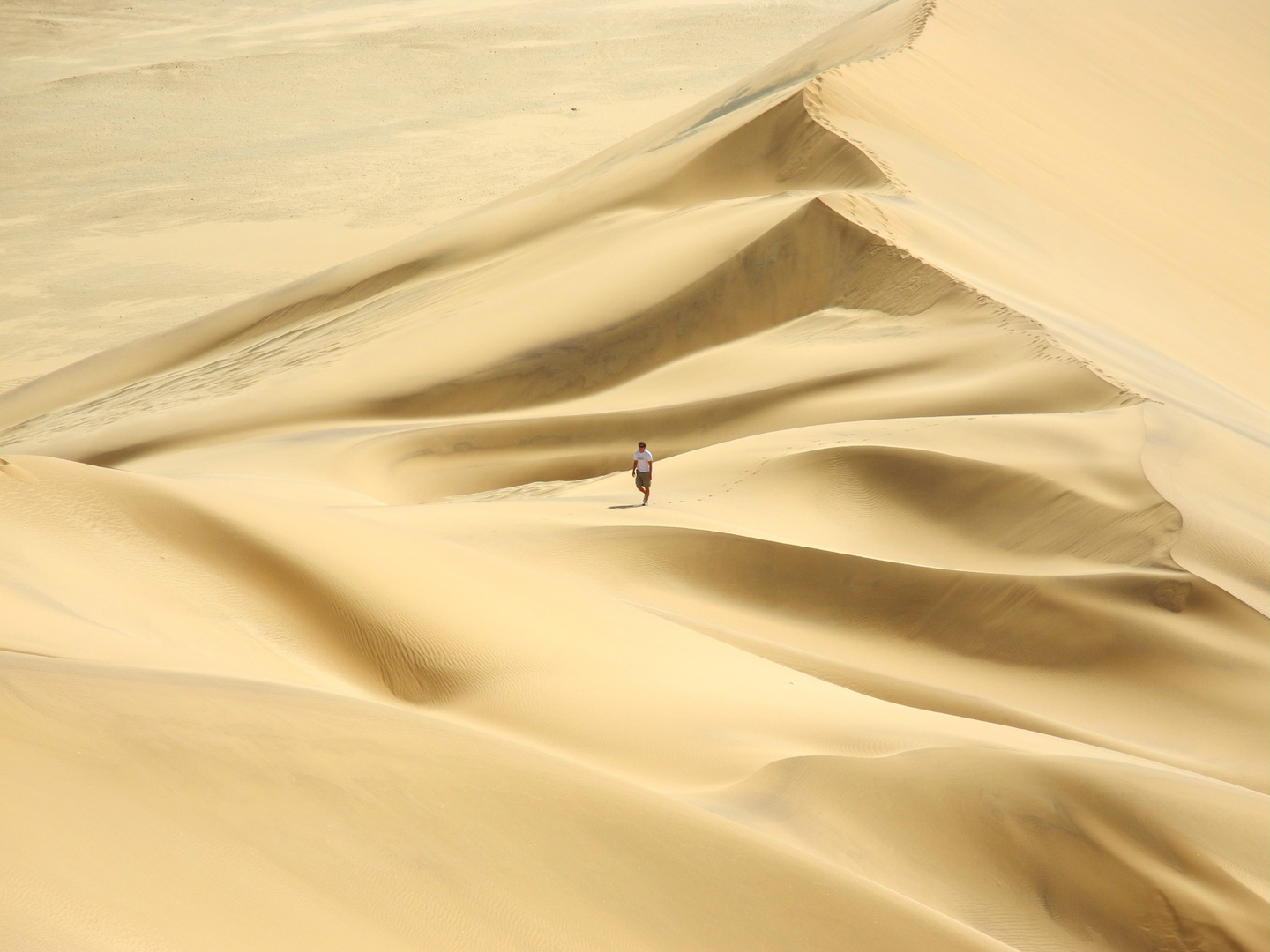 Dune 7