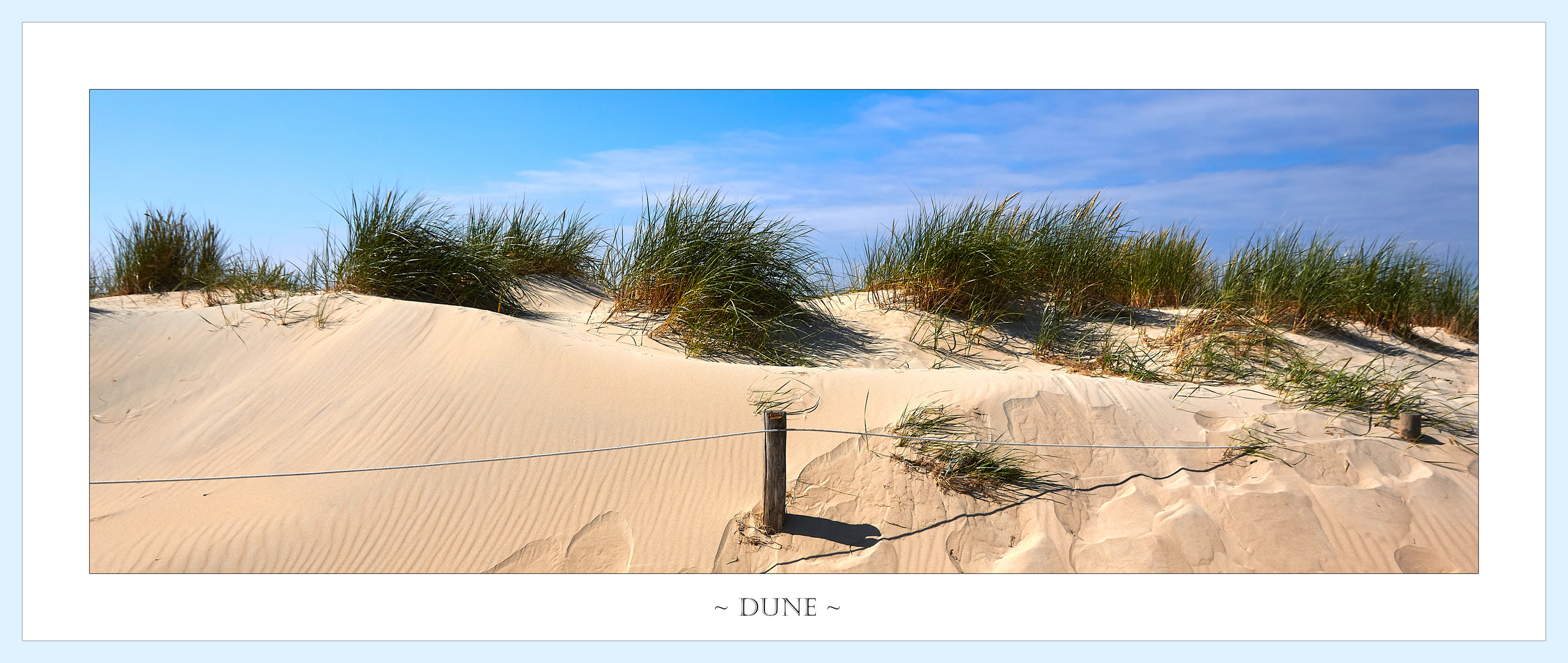 ~ Dune ~