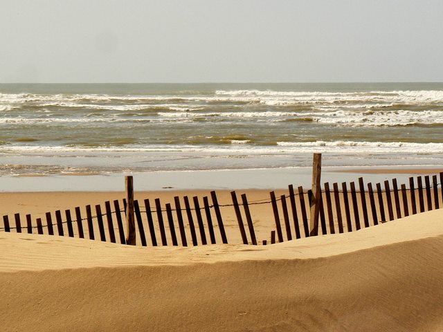 Dune à la passe de Maumusson.