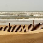 Dune à la passe de Maumusson.