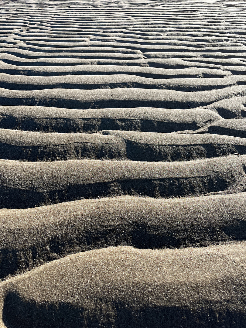 Dune an der Elbe