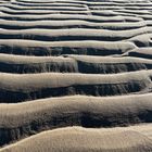 Dune an der Elbe