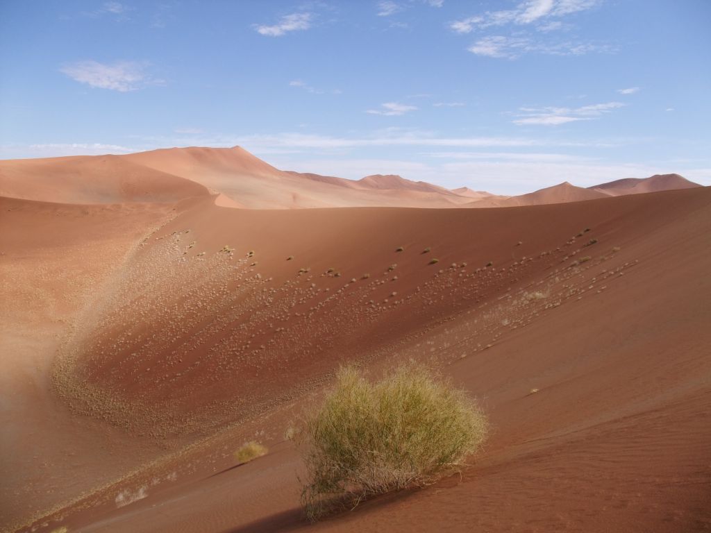 Dune at inner Sossusvlei