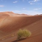 Dune at inner Sossusvlei