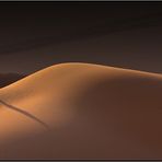 Dune callipyge