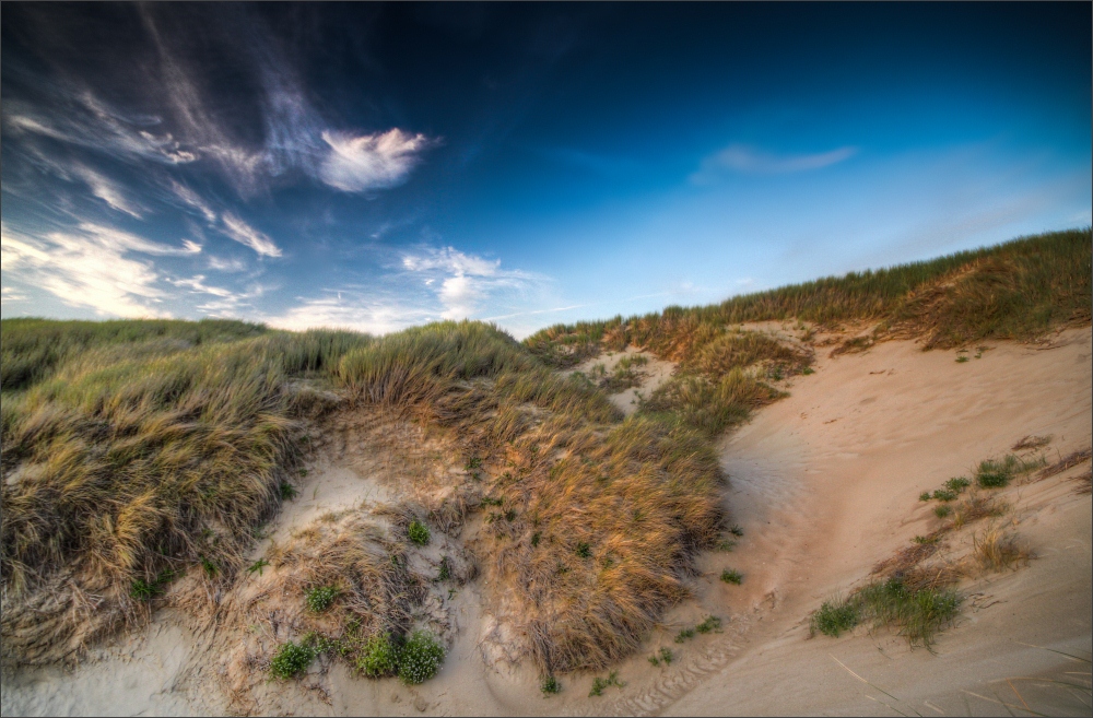 Dune Cliff