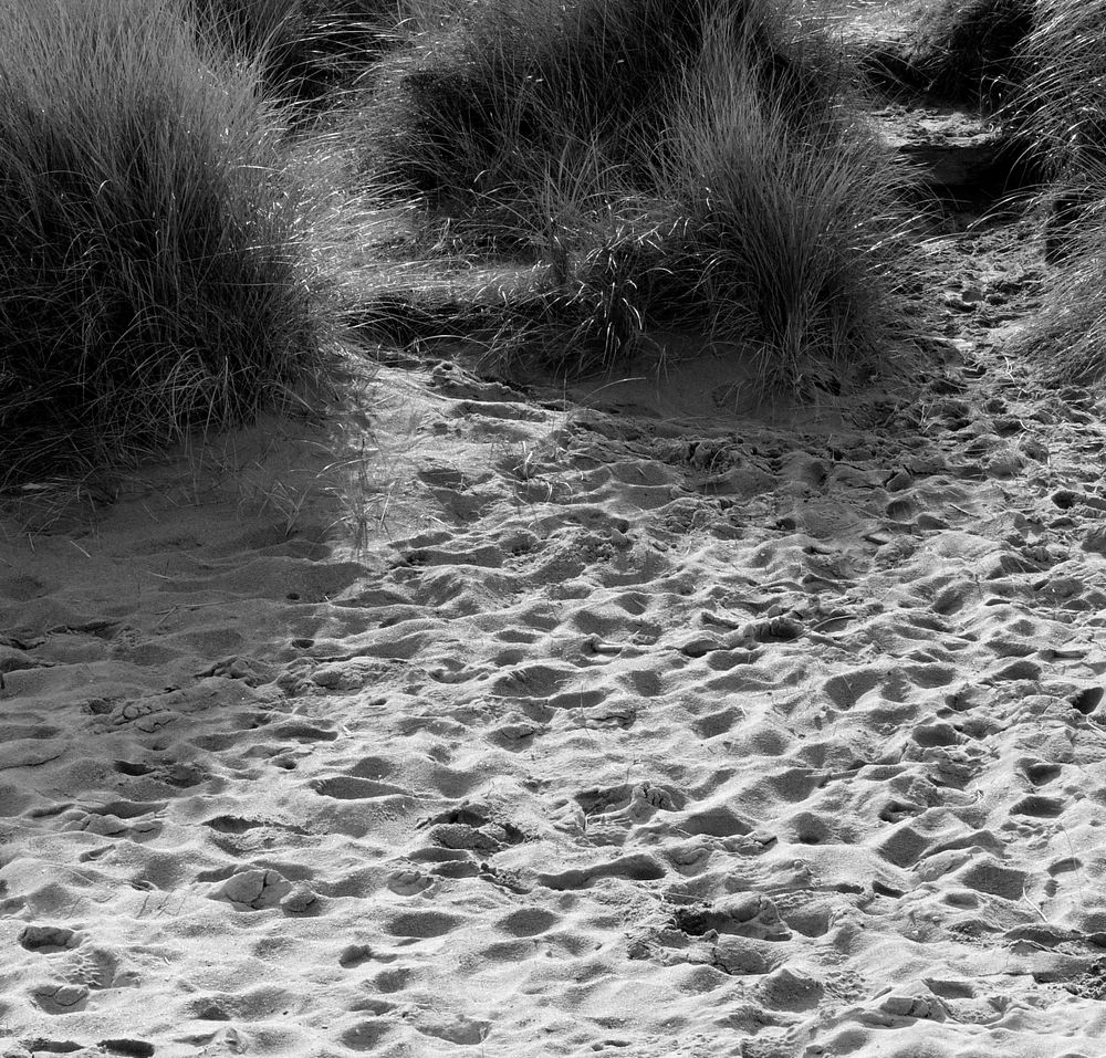 Dune comme sur la lune...