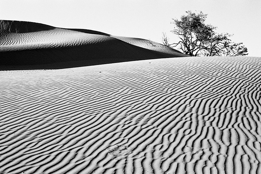 dune