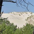 Dune d'Aquitaine