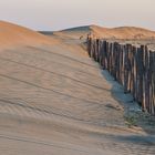 Dune de L'espiguette