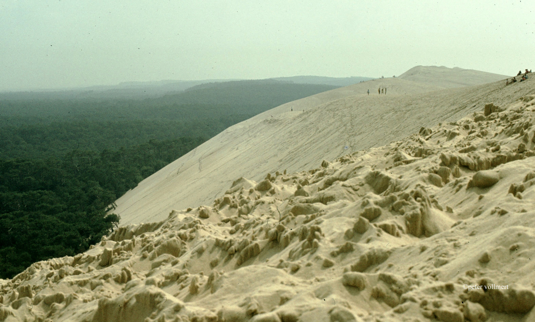 Dune de Pilar