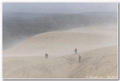 Dune de Pilat