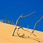 >Dune de Pyla<
