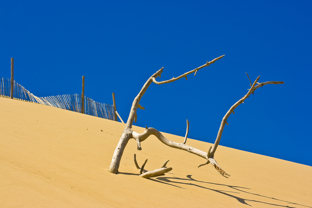 >Dune de Pyla<