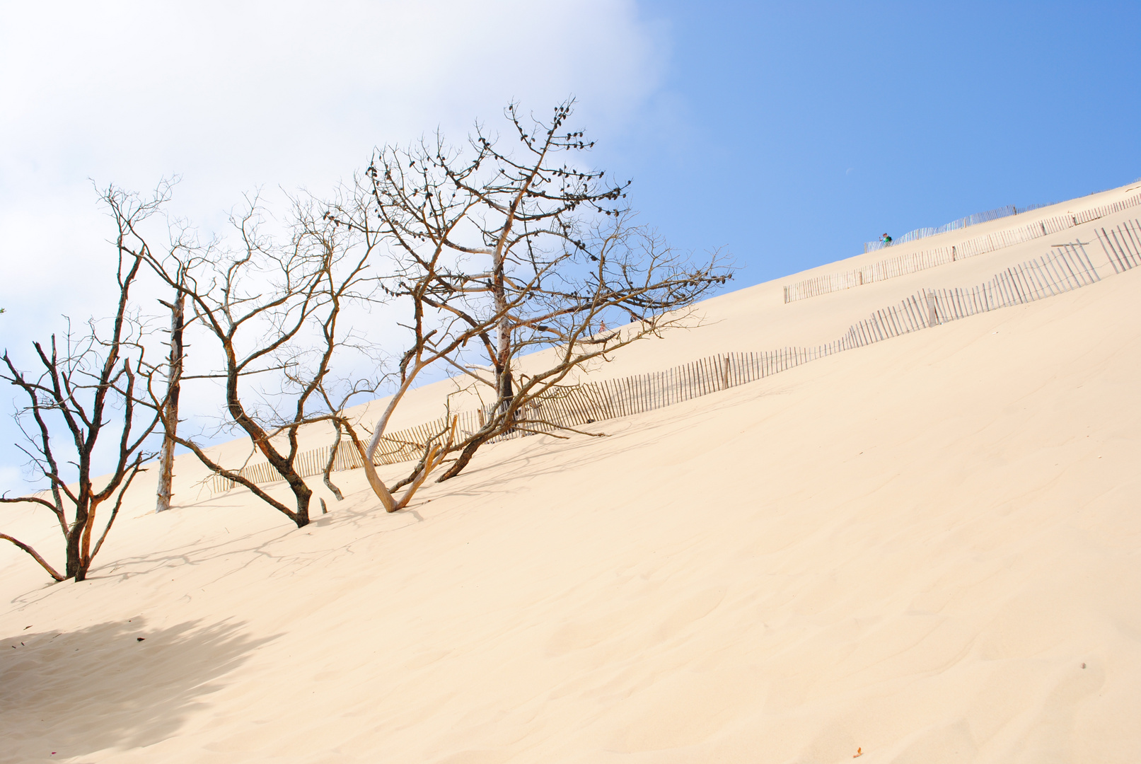 Dune de Pyla bei Arcachon