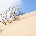 Dune de Pyla bei Arcachon