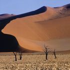 DUNE DEL SOSSUSVLEI