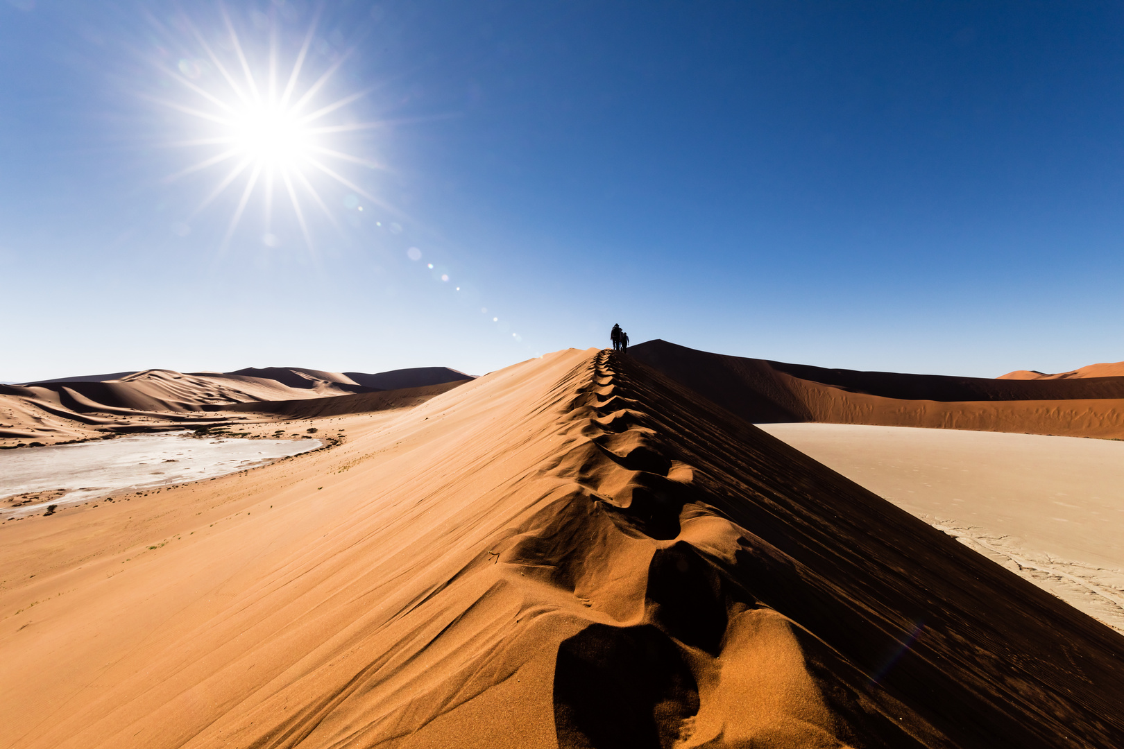 Dune der Wüstenplanet