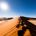 Dune der Wüstenplanet