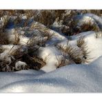 Dune des neiges