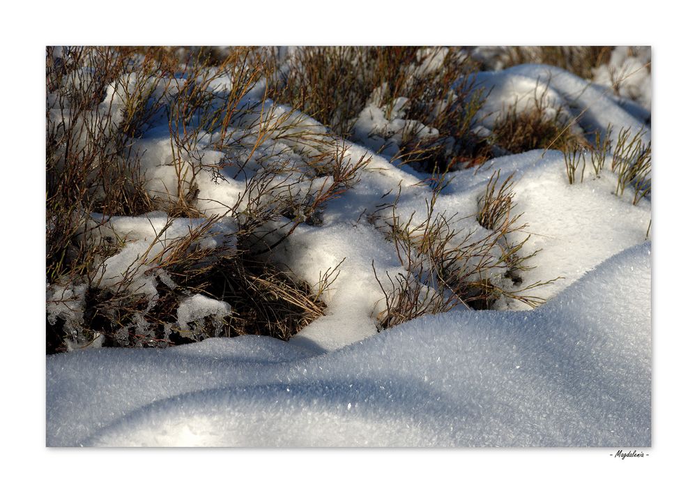 Dune des neiges