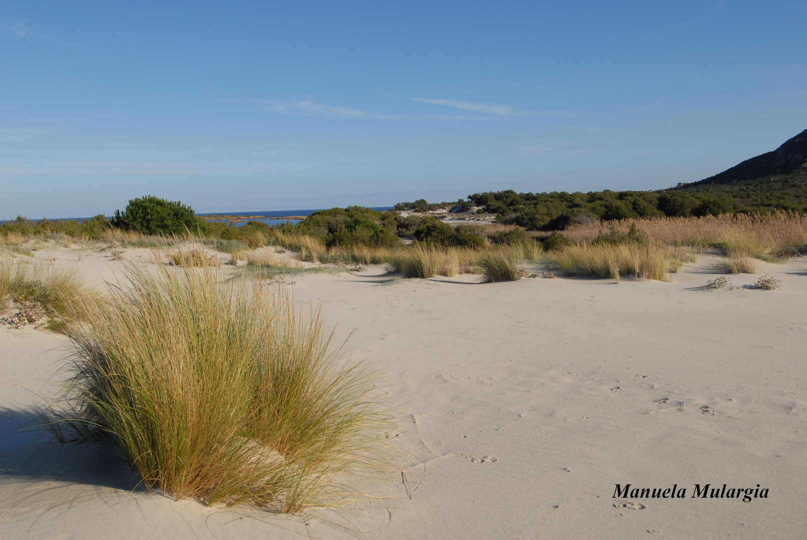 Dune di Capo Comino, Siniscola. Sardegna