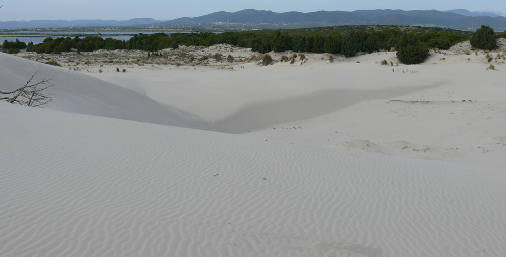 Dune di Porto Pino