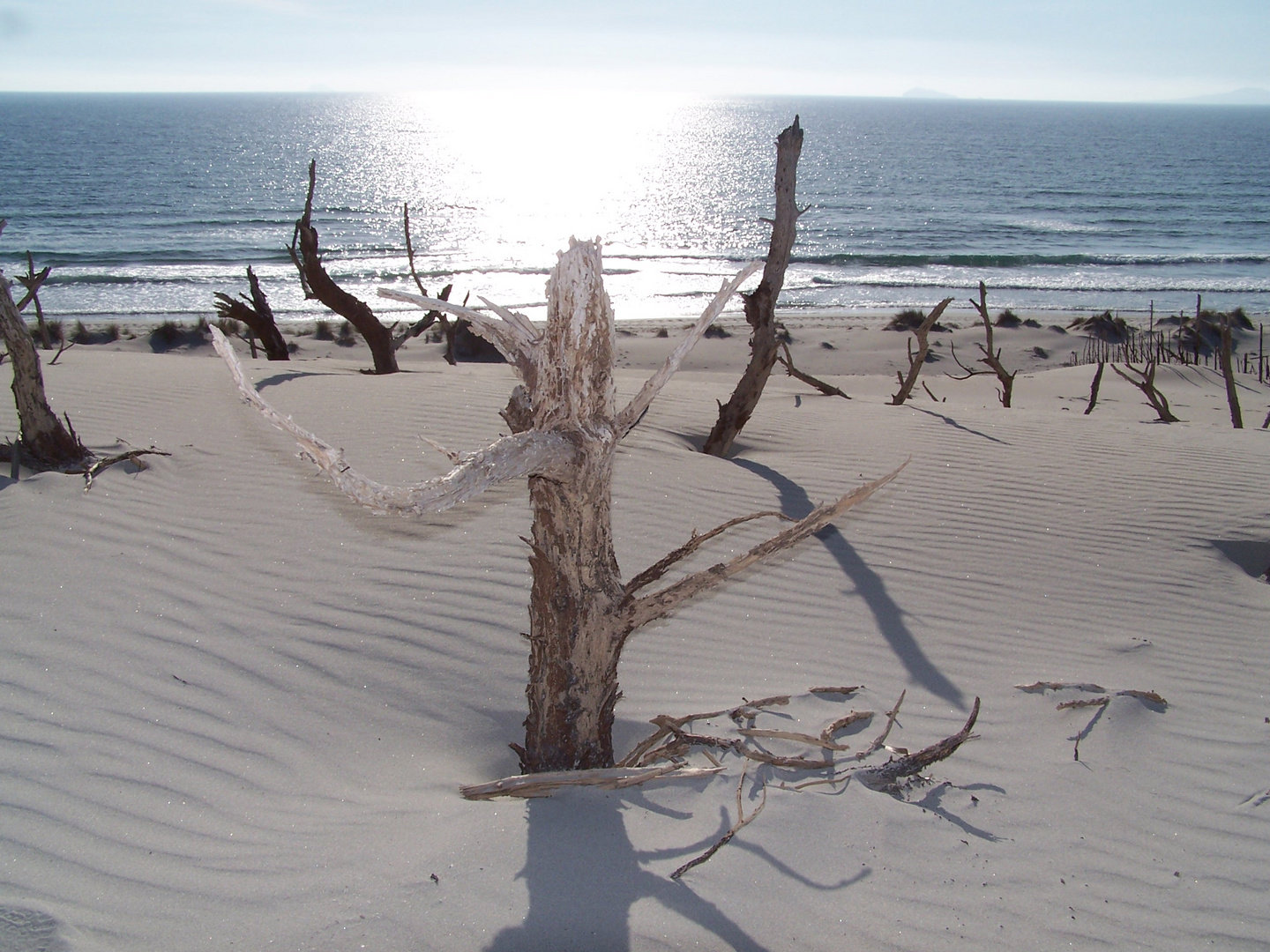 Dune di sabbia...