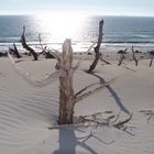 Dune di sabbia...