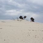 Dune di sabbia di Porto Pino