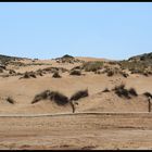 Dune di sabbia di Torre dei Corsari