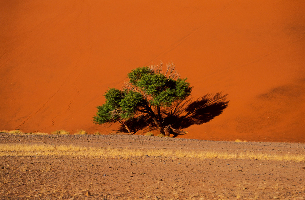 Dune di Sossusvlei - Namibia