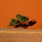 Dune di Sossusvlei - Namibia