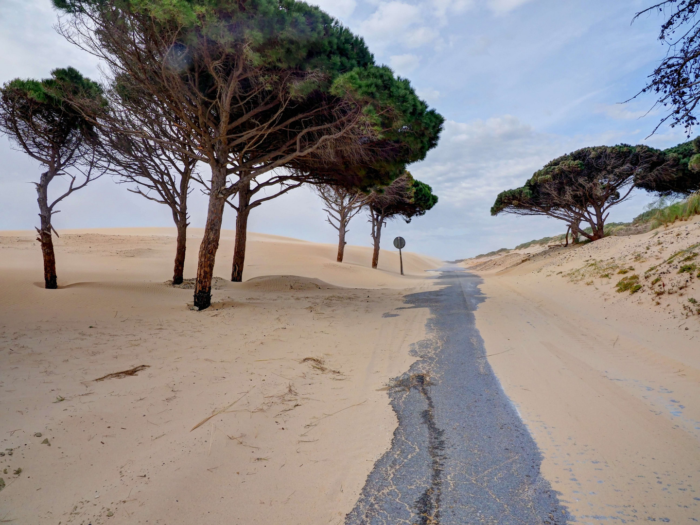 Dune di tarifa