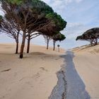 Dune di tarifa