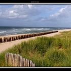 dune du fort-mahon