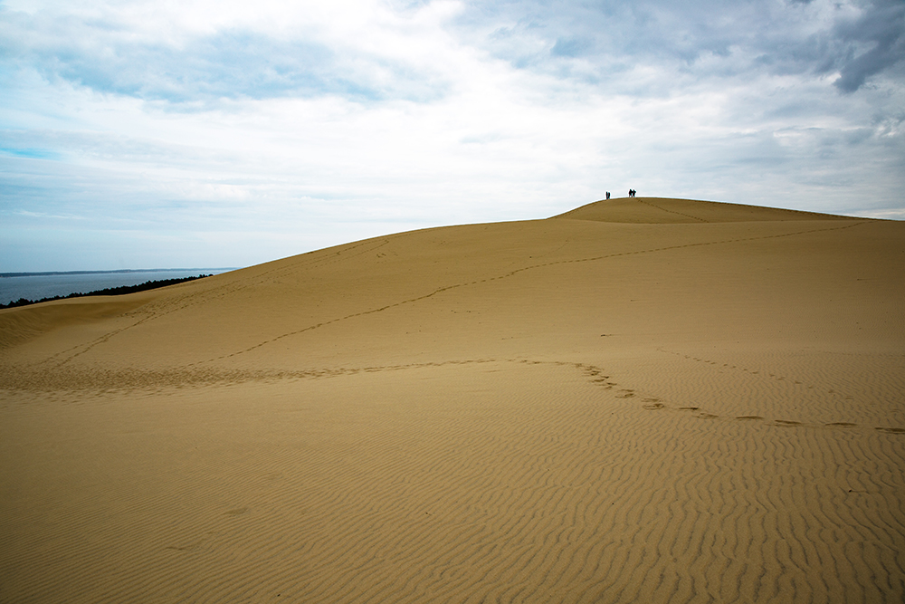 Dune du Pilat