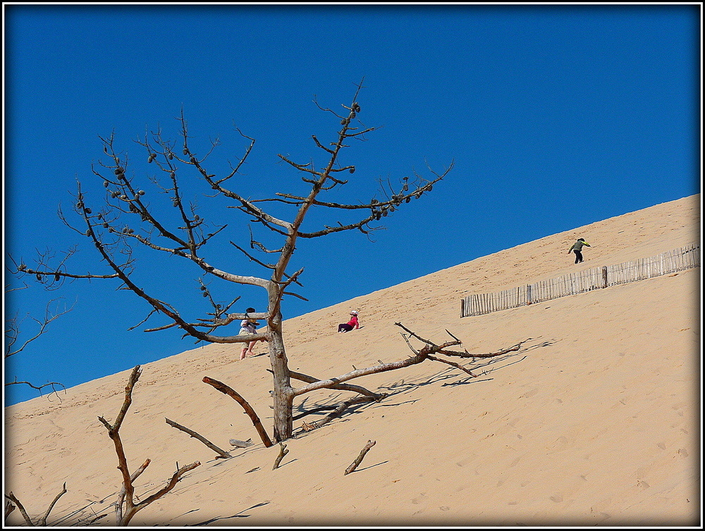 DUNE DU PILAT