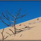 DUNE DU PILAT