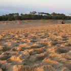 Dune du Pyla