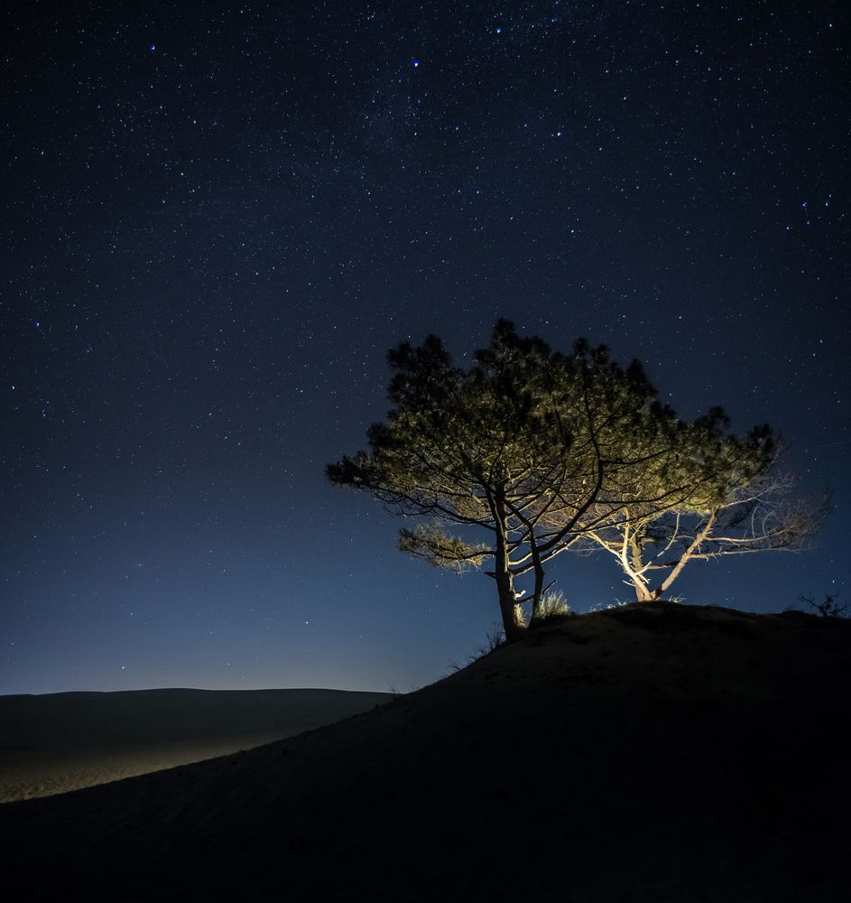 Dune du Pyla