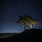 Dune du Pyla