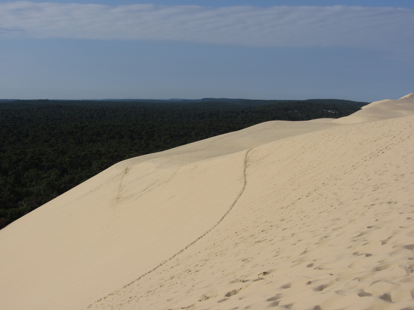 Dune du Pyla