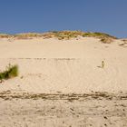 Dune du Pyla - Aufstieg