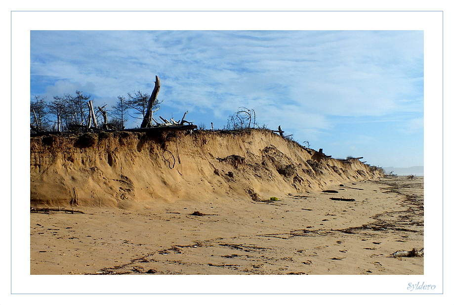 Dune en souffrance