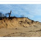 Dune en souffrance