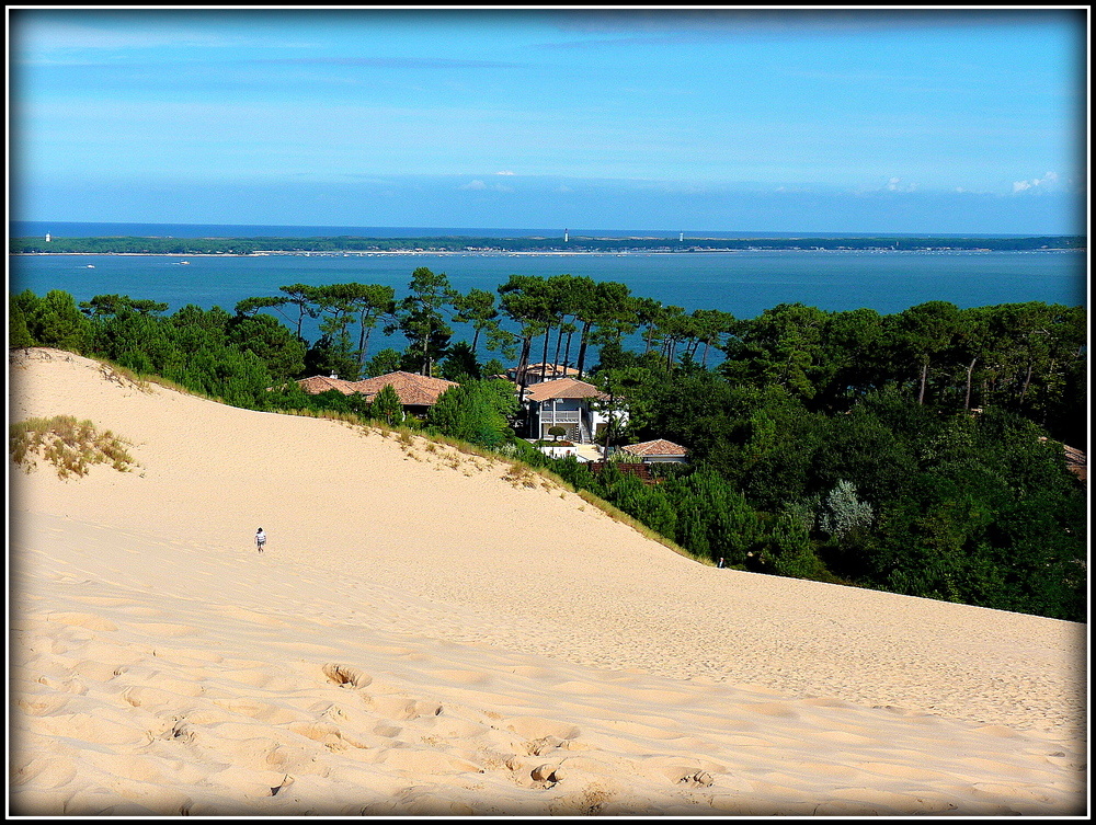 DUNE ET FORÊT .