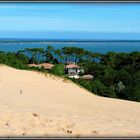 DUNE ET FORÊT .