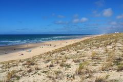 Dune et plage de Mimizan Lespecier