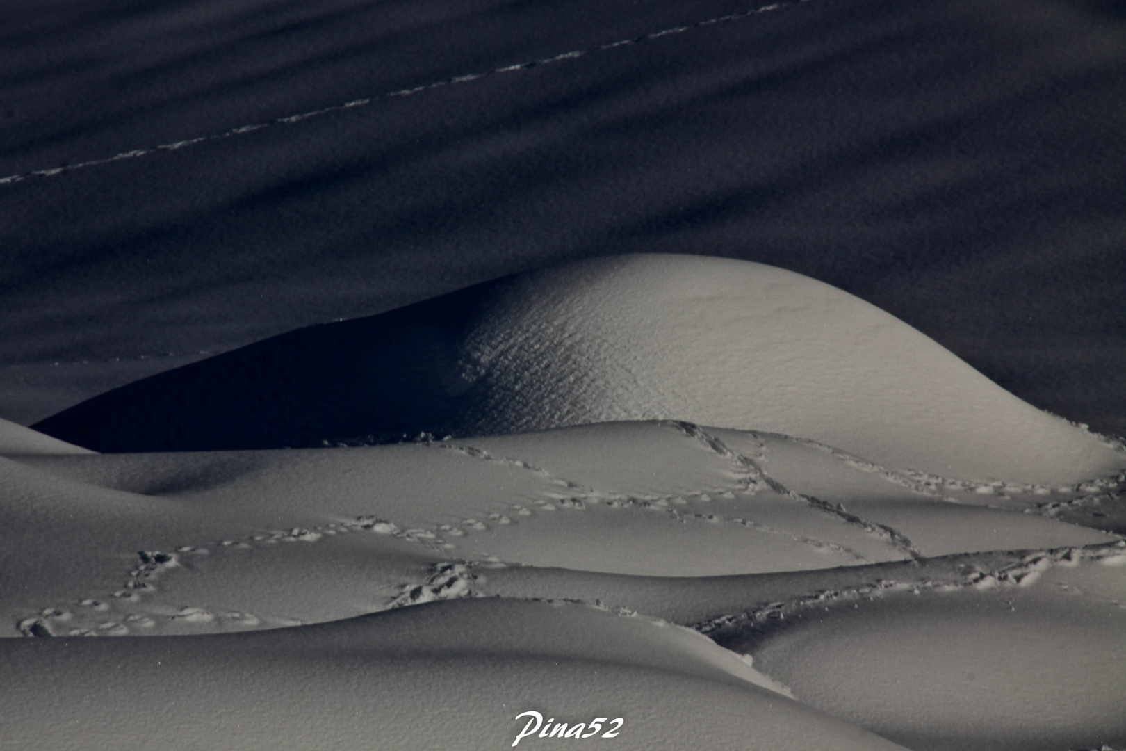 DUNE